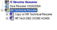 Resume in edit mode during the job hunt